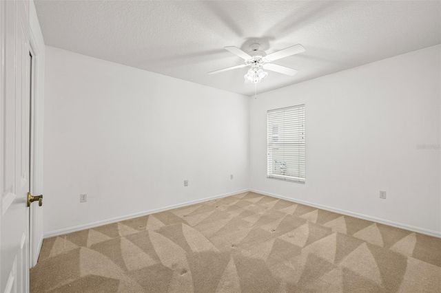 10246 TIMBERLAND POINT DR, Tampa, FL 33647