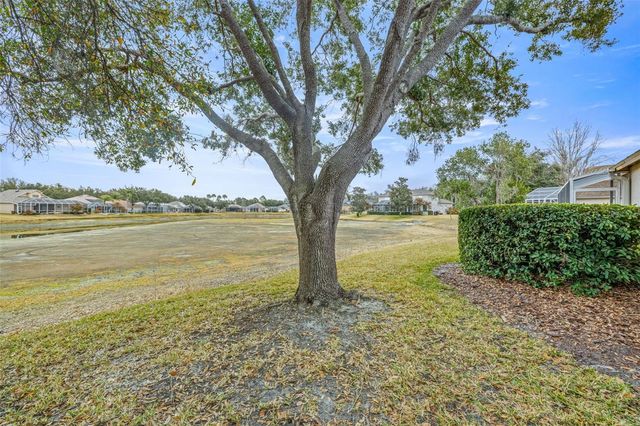 10246 TIMBERLAND POINT DR, Tampa, FL 33647