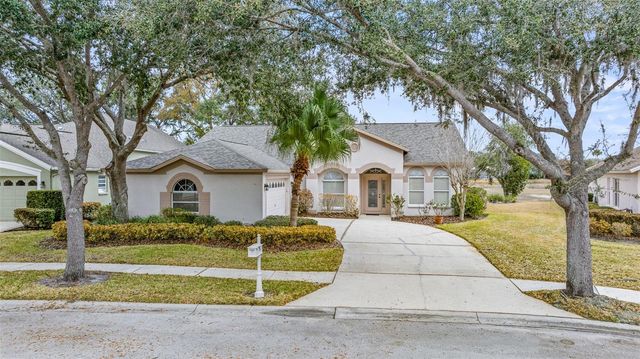10246 TIMBERLAND POINT DR, Tampa, FL 33647