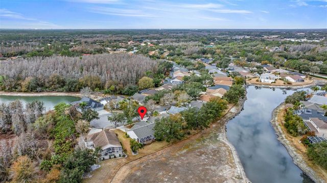 10246 TIMBERLAND POINT DR, Tampa, FL 33647