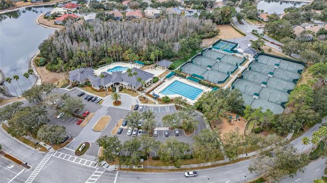 10246 TIMBERLAND POINT DR, Tampa, FL 33647