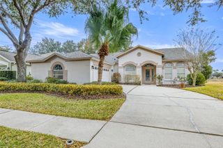 10246 TIMBERLAND POINT DR, Tampa, FL 33647