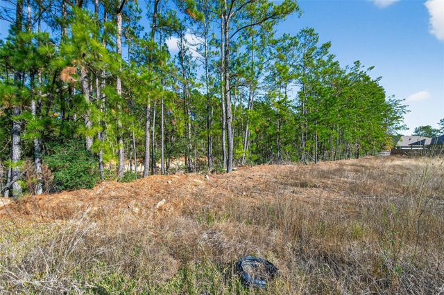 2320 Cedar Place Drive, Conroe, TX 77306