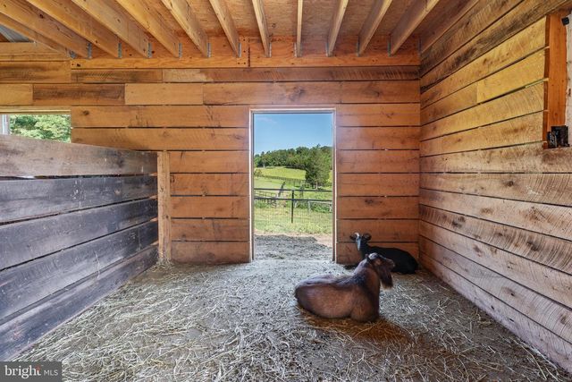 359 RIDGEWAY RD, Front Royal, VA 22630