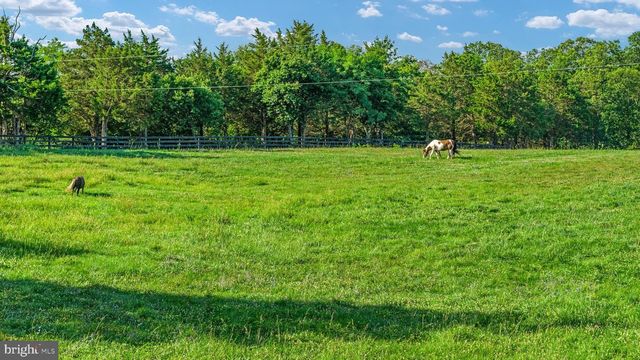 359 RIDGEWAY RD, Front Royal, VA 22630