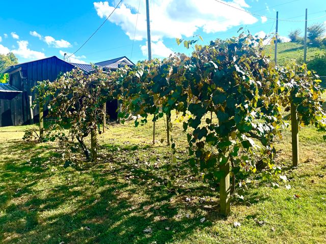 6255 Spencer Road, Mt Sterling, KY 40353