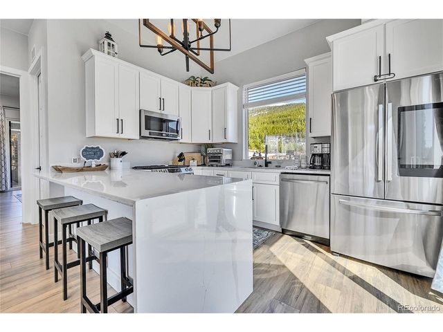 499 Silver Creek Rd, Idaho Springs, CO 80452