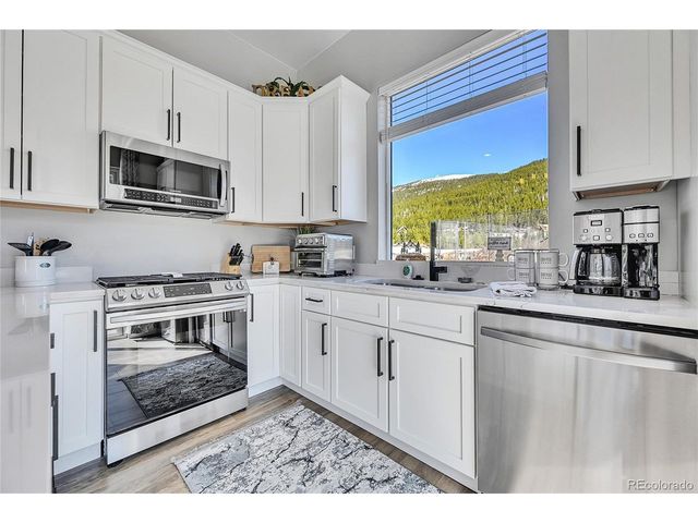 499 Silver Creek Rd, Idaho Springs, CO 80452