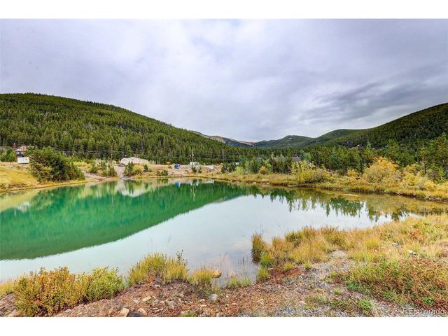 499 Silver Creek Rd, Idaho Springs, CO 80452