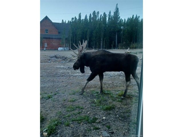 499 Silver Creek Rd, Idaho Springs, CO 80452