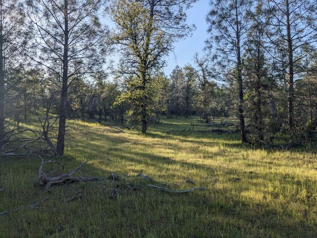 Lot 8 Neal Lane, Redding, CA 96003