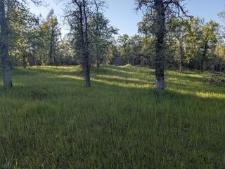 Lot 8 Neal Lane, Redding, CA 96003