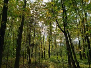 2698 Runway Avenue, Tate Twp, OH 45106