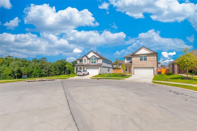 2750 Williams Grove Court, Conroe, TX 77304