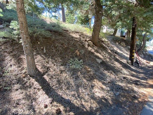 33351 Green Valley Lake Rd., Green Valley Lake, CA 92341