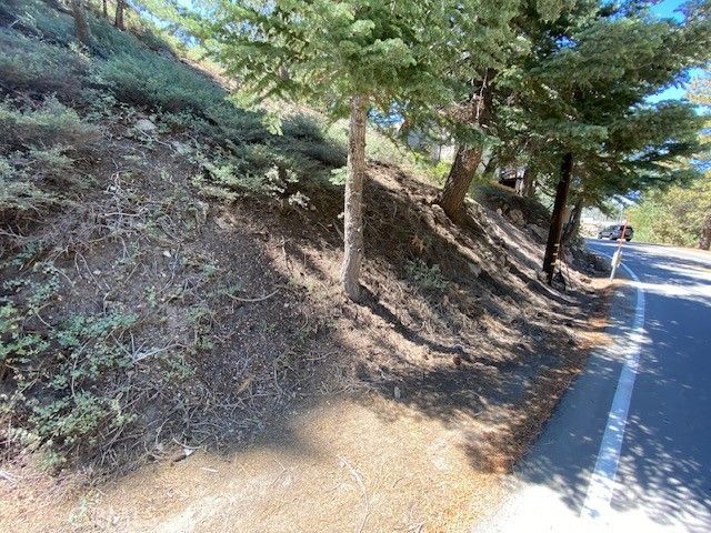 33351 Green Valley Lake Rd., Green Valley Lake, CA 92341