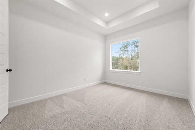 223 Warbler Song Drive, Willis, TX 77318