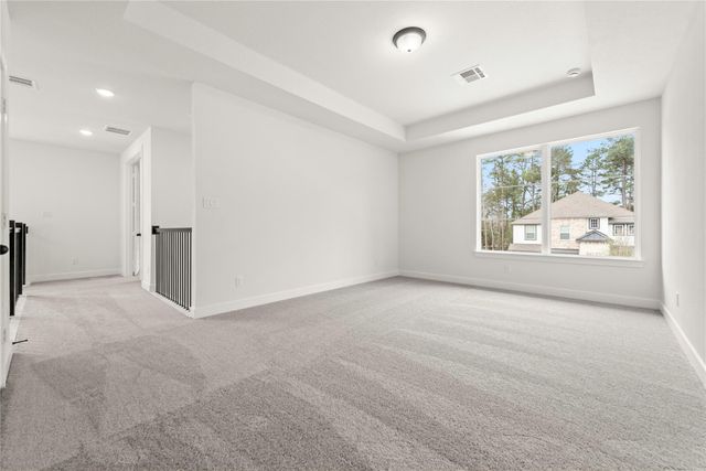 223 Warbler Song Drive, Willis, TX 77318