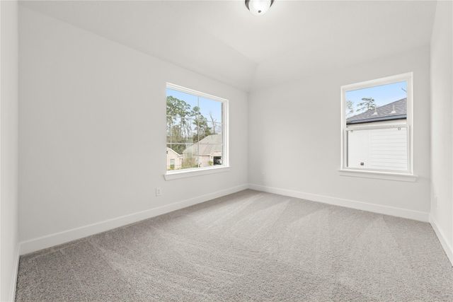 223 Warbler Song Drive, Willis, TX 77318