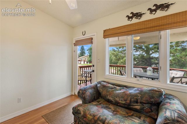 5114 Lewisia Point, Colorado Springs, CO 80917