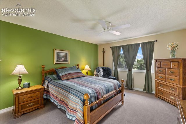 5114 Lewisia Point, Colorado Springs, CO 80917