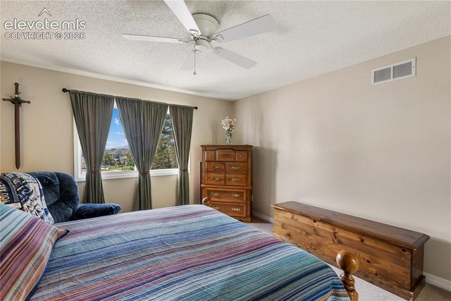 5114 Lewisia Point, Colorado Springs, CO 80917