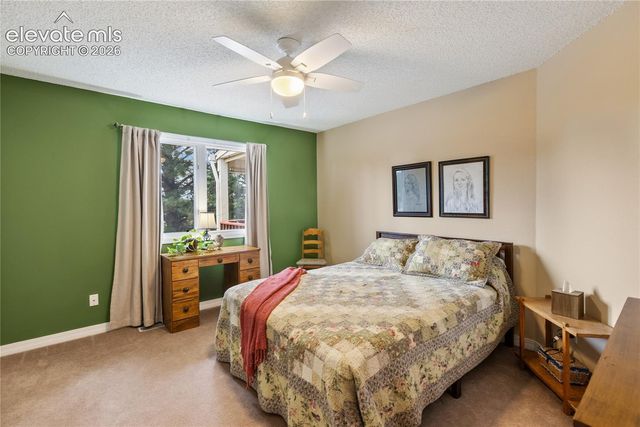 5114 Lewisia Point, Colorado Springs, CO 80917