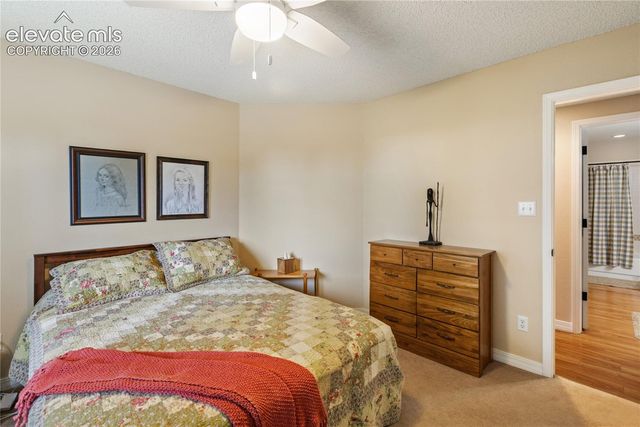 5114 Lewisia Point, Colorado Springs, CO 80917