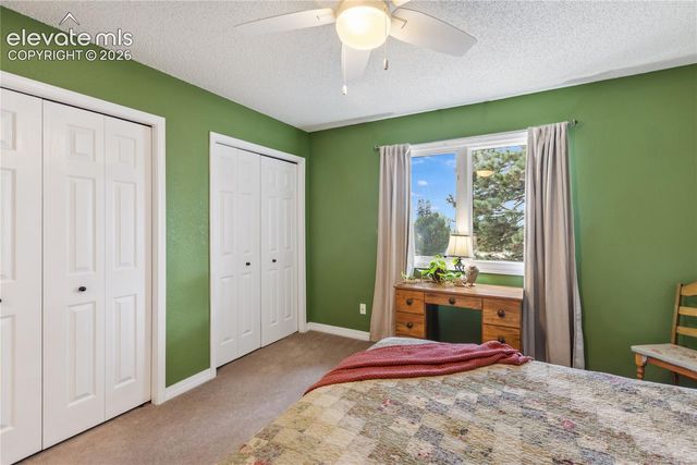 5114 Lewisia Point, Colorado Springs, CO 80917