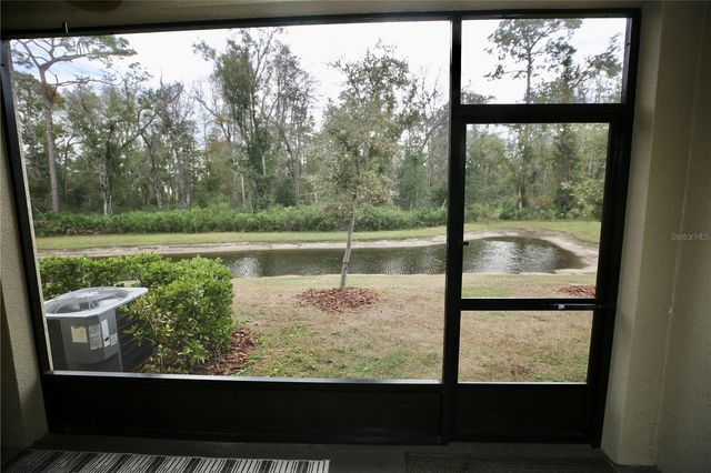 17620 NECTAR FLUME DRIVE, Land O Lakes, FL 34638