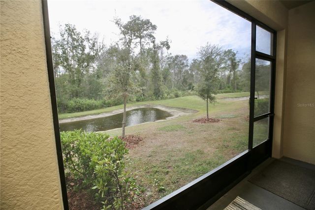 17620 NECTAR FLUME DRIVE, Land O Lakes, FL 34638