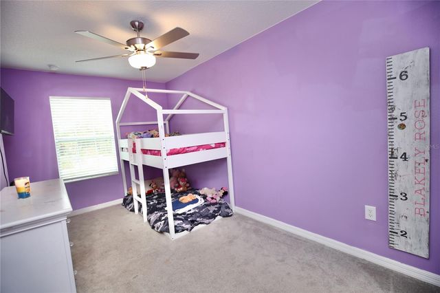 17620 NECTAR FLUME DRIVE, Land O Lakes, FL 34638