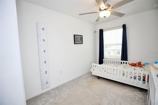 17620 NECTAR FLUME DRIVE, Land O Lakes, FL 34638