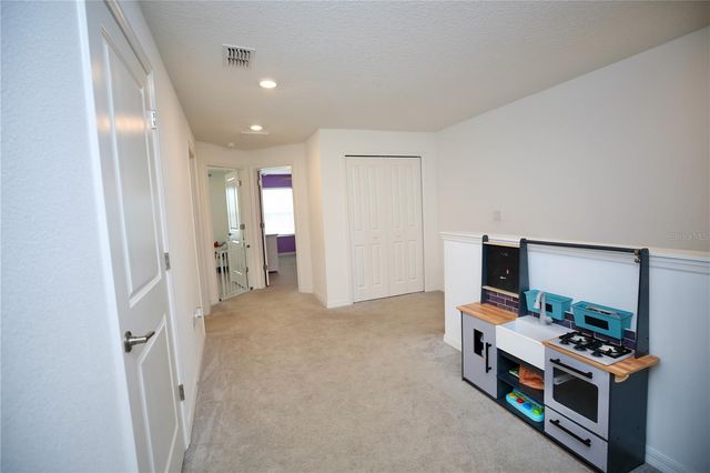 17620 NECTAR FLUME DRIVE, Land O Lakes, FL 34638