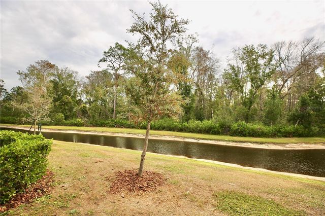 17620 NECTAR FLUME DRIVE, Land O Lakes, FL 34638