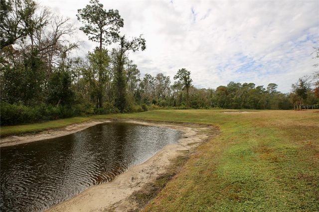 17620 NECTAR FLUME DRIVE, Land O Lakes, FL 34638