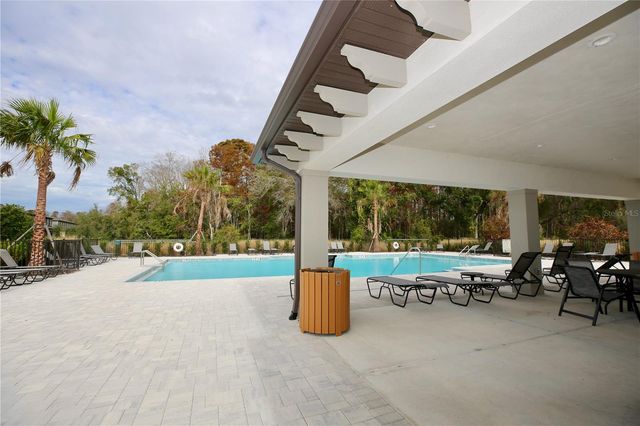 17620 NECTAR FLUME DRIVE, Land O Lakes, FL 34638