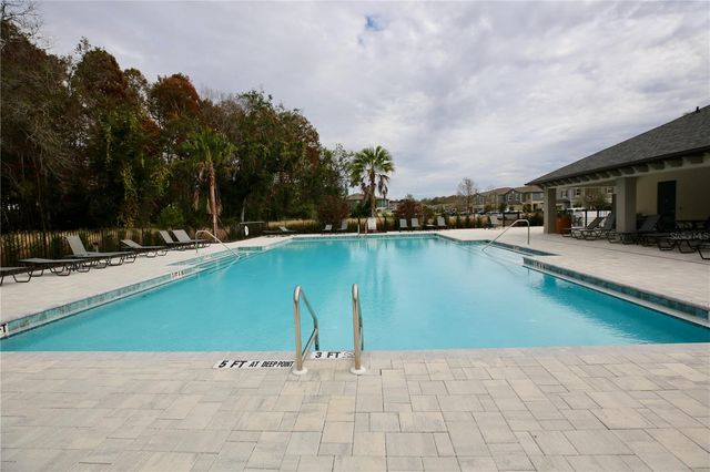 17620 NECTAR FLUME DRIVE, Land O Lakes, FL 34638