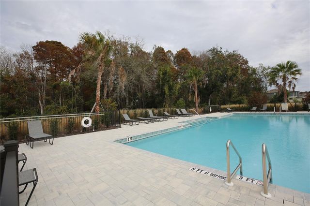 17620 NECTAR FLUME DRIVE, Land O Lakes, FL 34638