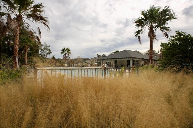 17620 NECTAR FLUME DRIVE, Land O Lakes, FL 34638