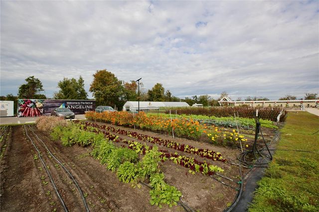 17620 NECTAR FLUME DRIVE, Land O Lakes, FL 34638