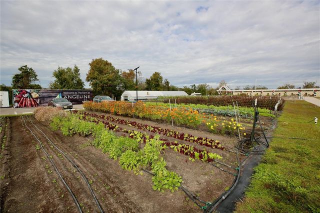 17620 NECTAR FLUME DRIVE, Land O Lakes, FL 34638