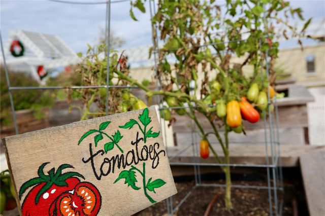 17620 NECTAR FLUME DRIVE, Land O Lakes, FL 34638