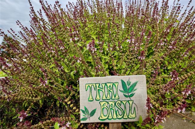 17620 NECTAR FLUME DRIVE, Land O Lakes, FL 34638