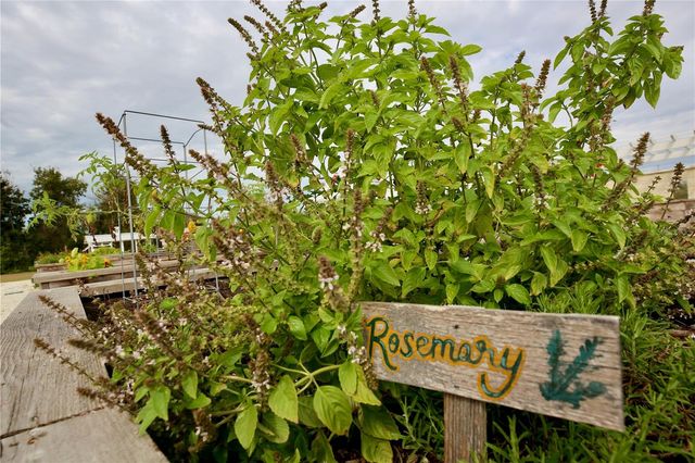 17620 NECTAR FLUME DRIVE, Land O Lakes, FL 34638