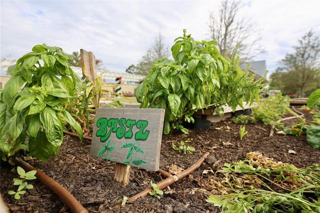 17620 NECTAR FLUME DRIVE, Land O Lakes, FL 34638