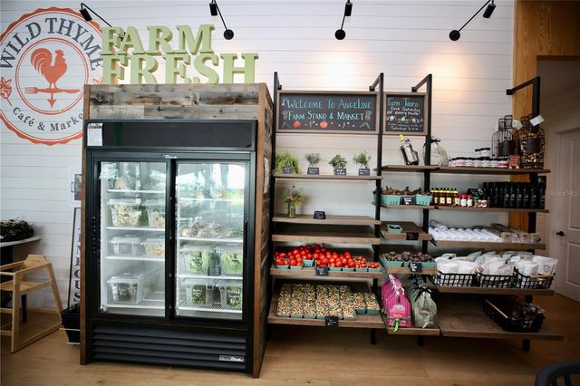 17620 NECTAR FLUME DRIVE, Land O Lakes, FL 34638