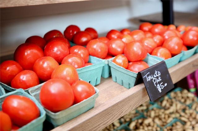 17620 NECTAR FLUME DRIVE, Land O Lakes, FL 34638