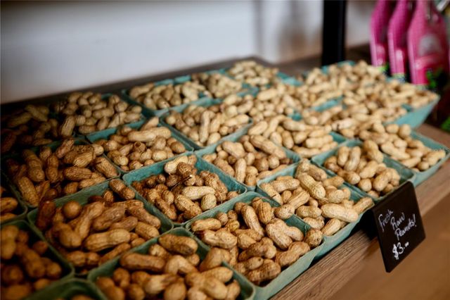 17620 NECTAR FLUME DRIVE, Land O Lakes, FL 34638