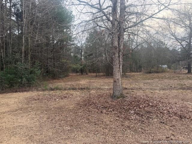 95 Eric Lane, Autryville, NC 28318